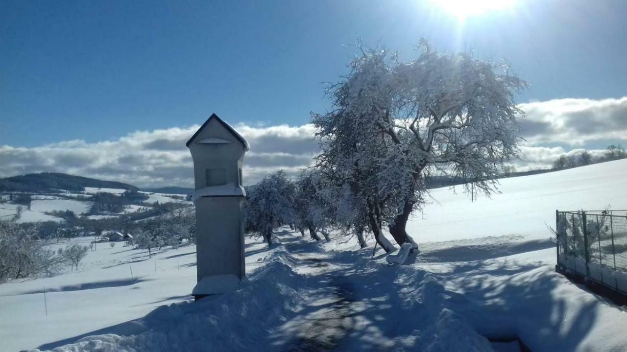 Stylova Chalupa Na Kraji Narodniho Parku Sumava Strunkov المظهر الخارجي الصورة